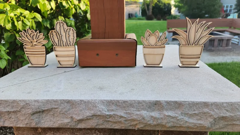 Wooden Succulents